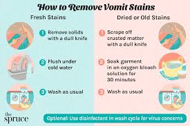 how to remove vomit sns from clothes