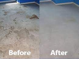 the 1 carpet cleaning in oswego over