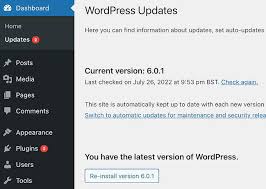 automatically update a wordpress plugin