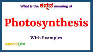 photosynthesis meaning in kannada