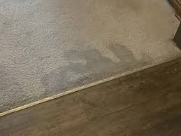 water out of carpet after a flood