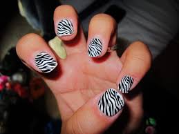 zebra print nails pictures photos and