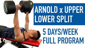 upper lower x arnold split full 5 day