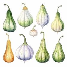 hand draw vegetables pictures