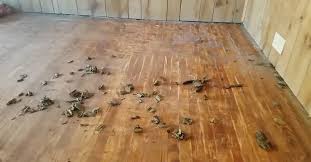carpet glue on hardwood floors