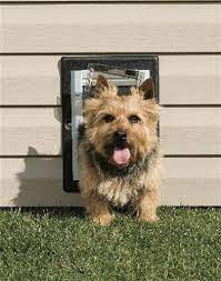 Petsafe Wall Entry Pet Door Small