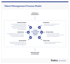 what is talent management everything