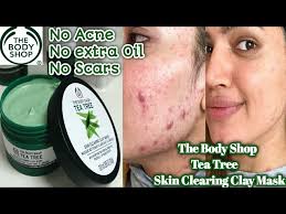 tea tree skin clearing clay face mask