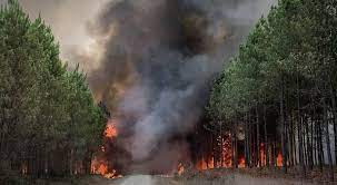 En direct | Incendies en Gironde : il y a "de grandes suspicions" que les  reprises de feu soient le fait d'incendiaires, selon Gérald Darmanin | La  Provence