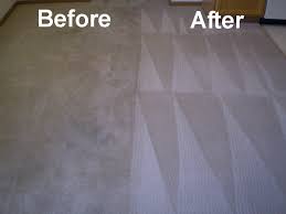spot out carpet cleaning home