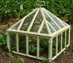 The Beauty Of The Garden Cloche