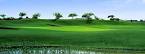 Mission Royale Golf Club | Casa Grande AZ