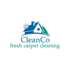 13 best kansas city carpet cleaners