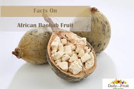 facts on african baobab fruit
