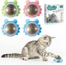 catnip ball toy catnip for cats