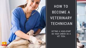 These professionals may help veterinary technicians and veterinarians in more advanced capacities such as administering medication, processing laboratory samples, and performing medical. How To Become A Vet Tech Career Requirements Salary