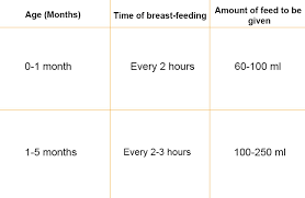 6 months old baby food chart with time