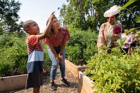 community garden sprouts in salt lake city