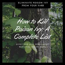 poison ivy a complete list