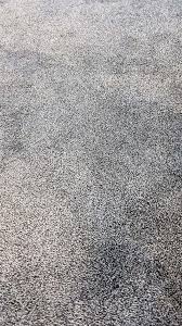 plush black and white carpet texture