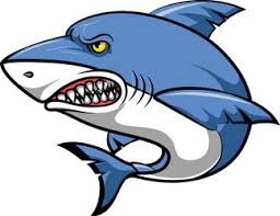 rugby shark mascot royalty free vector