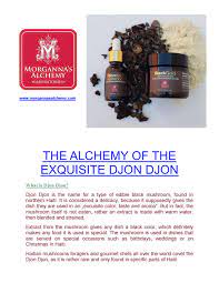 THE ALCHEMY OF THE EXQUISITE DJON DJON by Morganna's Alchemy - Issuu