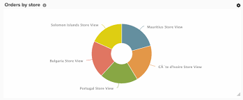 Visualization Options In The Visual Report Builder Magento