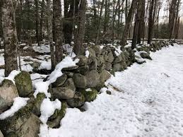 Living On Earth New England S Stone Walls