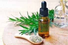 Image result for Rosemary Essential Oil