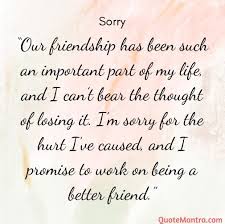 sorry messages for friend emantra