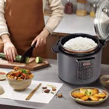 best rice cookers under 3000 discover