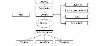 Proposed Organization Chart Of Drtlc Legend Drtlc Disaster