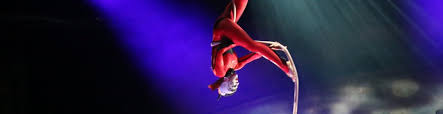 Cirque Du Soleil Luzia Tickets Seatgeek