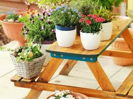 Container Gardening Which Plants Grow