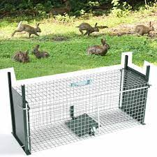 cage piege à lapin double entrée vente