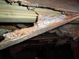 dry rot damage to crawl e wood