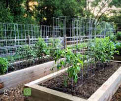 make the ultimate tomato cage