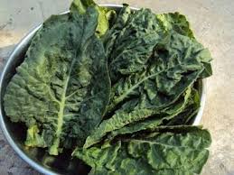 leafy vegetables of india