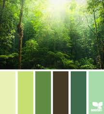 color scheme for a house on a wooded lot