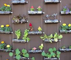 vertical gardening for maximizing e