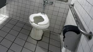 Hazards Of Public Toilet Use Debunked