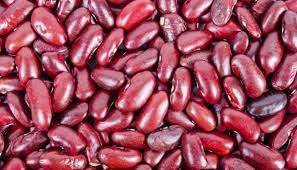 Lima beans are completely safe for a dog to eat. Can Dogs Eat Beans What To Know About Dogs And Beans