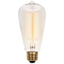 Extended Black Friday Sale On Vintage Edison Light Bulbs Wayfair