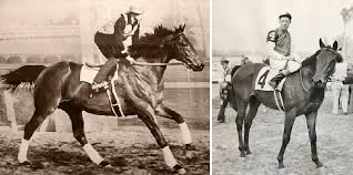 how-are-seabiscuit-and-secretariat-related