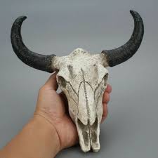 Resin Longhorn Cow Skull Head Wall