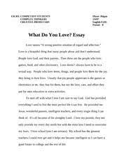 what do you love essay
