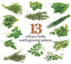 13 Herbs To Grow In Your Kitchen With