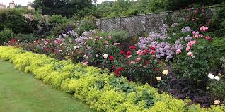Luxurious Walled And Rose Gardens