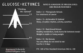 Tracking The Glucose Ketone Index Heads Up Health