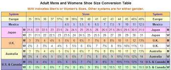 shoe size conversion solr systems